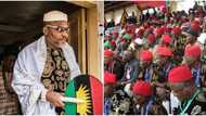 2023 Presidency: Nnamdi Kanu is working against southeast, group declares