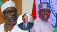 Dollar rate to naira: Senator Ndume claims Tinubu's govt benefiting from hike