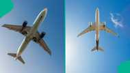 Air India: Things to know as Boeing 787-8 Dreamliner crashes while flying to London Gatwick Airport