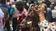 More dead bodies recovered in Lagos 7-storey building collapse
