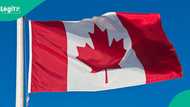 Canada explains who qualifies for asylum in country, requirements for Nigerians, others
