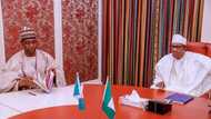 President Buhari meets Governor Zulum over insecurity in Borno