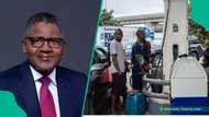 “Register with us”: Dangote advises marketers on how to get petrol from refinery