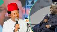 Shehu Sani Ya Yi Martani Bayan Rage Farashin Siminti Da BUA Ya Yi, Ya Bai Wa Masu Abinci Shawara