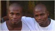 Nigerian twin brothers die from same ailment 7 months apart