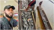 Fresh tilapia for weekend - Nigerian fisherman shares photos of canoe with new catches on Twitter, wows people