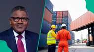 Dangote plans to build Nigeria’s largest seaport in Ogun state to boost exports