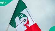 Siyasa ta ɗauki zafi, 'yan daba dauke da bindigu sun buɗe wa magoya bayan PDP wuta
