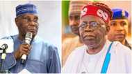 Trouble as powerful diaspora support group list sins of NYSC, tells Tinubu, Atiku what to do
