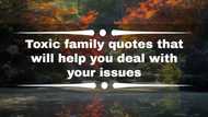 100+ toxic family quotes that will help you deal with your issues