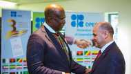 Nigeria's petroleum minister Timipre Sylva gets international appointment