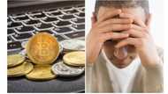 Thousands of cryptocurrencies to collapse, crypto firms Predict
