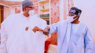 Tinubu salutes Buhari at 80, commends president's commitment to nation-building