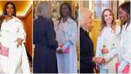 "Patience is power": Tiwa Savage stirs reactions with cute photos, video after meeting Queen Consort, Camilla