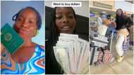 "I bought dollars": Lady gets visa, buys enough foodstuffs before relocating to Canada, waves her passport