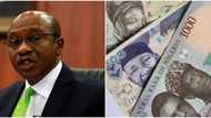 Old Notes: Don’t Yield To Pressure From NASS to Extend January 31 Deadline, CSO Tells Emefiele
