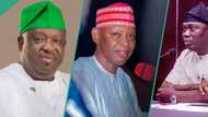 Kano Gov Yusuf, 12 others risk sack as opposition candidates drag them to Supreme Court