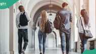 “Free tuition”: Nigerians invited to apply for fully-funded scholarship in Germany
