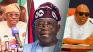 2027 presidency: How Fubara can work with Wike for Tinubu’s victory, Analyst explains