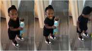 Dad catches adorable daughter "stealing" food, cute viral videos warm hearts