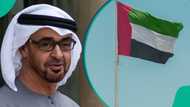 UAE announces 5 types of work permits that are only valid for 2 years