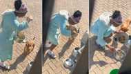 Mother catches her daughter red-handed eating dog food at home, video causes stir