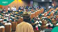 BREAKING: 24hrs after Tinubu's visit to NASS, Reps pass 2025 budget