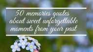 50 delightful memories quotes that you will love