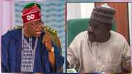 Gudaji Kazaure Ya Lissafa Jerin Sunayen Ministoci Da Muƙarraban Buhari Da Ya Kamata Tinubu Ya Kama Su Da Dalilai, Bidiyon Ya Yadu