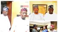 2023: Influential northern governor reveals why Tinubu visited Jonathan, Obasanjo