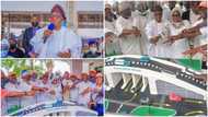 Nigerian governor celebrates birthday with special "flyover bridge" cake, shares photos