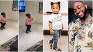 Proud dad: Davido stuns many with funny video of Ifeanyi dancing amid cheers ahead of his 3rd birthday