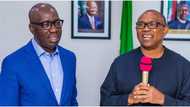 Election: Heavy Blow for PDP as Labour Party Captures Obaseki’s Constituency, Senatorial Seats