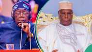 Tinubu certificate saga: Public affairs analyst speaks on alleged forgery
