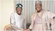 2023 presidency: The real reason why I contested against Tinubu, Lawan reveals