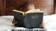 10 interesting Bible stories for kids to learn about God