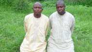 Bayan wata 4, Boko Haram sun sako jami'in gwamnati da mutum 1 da suka sace