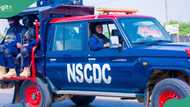 Full list: Names of 37 Niger miners who died in NSCDC custody
