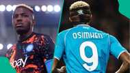 Napoli line up 5 replacements for Victor Osimhen after giving out his jersey number