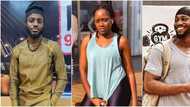 "She go reach everybody": Shock as Daniella joins Dotun in bed, housemates 'doing something' under the sheets