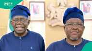 Kabir Masari: Yadda wani dan Arewa ya zama dan gaban goshin Tinubu