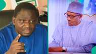 Adesina: 'Babban dalilin da ya sa Buhari ya ƙi cire tallafin man fetur a mulkinsa'