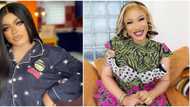 I'm enjoying aunty disgracing herself: Bobrisky gloats as Tonto Dikeh and Kpokpogri continue to fight dirty