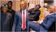 President-elect Bola Tinubu meets Tony Elumelu, details and video emerge