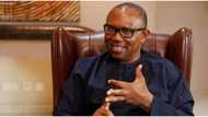 Elections: Vote Candidates With Traceable Sources of Wealth, Peter Obi Urges Nigerians