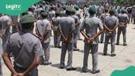 Nigeria’s customs takes action as cars stolen from Canada lands in Lagos
