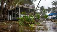 Crocs, cyclones and 'magnificent melaleucas': Aussie beach named world's best