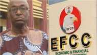 Alleged Fraud: EFCC Apprehends Suleiman Gbajabiamila, Court Hearing Adjourned