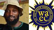 "I felt helpless": Man who went to WAEC office to get result cries out over encounter with secretary