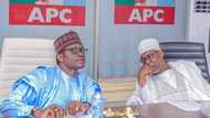 Progressive Youth Movement lists 5 qualities incoming APC national chairman must possess